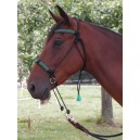 Bosal-Bridle