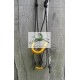 Trail Halter-Bridle