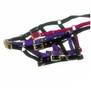 Foal headcollar