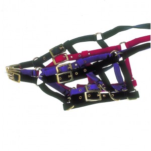 https://www.selleriestpierre.com/43-85-thickbox/foal-headcollar.jpg