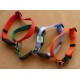 Ajustable webbing collar